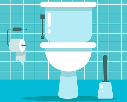 Toilet-Installation--in-Ferndale-Florida-toilet-installation-ferndale-florida.jpg-image