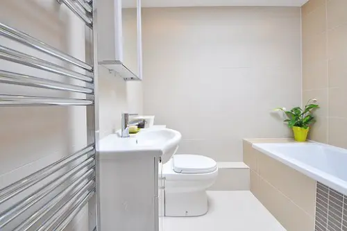 Toilet-Replacement--in-Belleview-Florida-toilet-replacement-belleview-florida.jpg-image